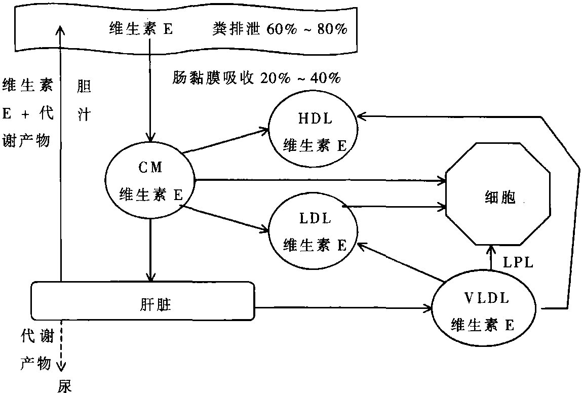 第三節(jié) 維生素E